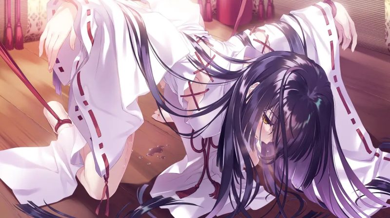 图片[6]-【神作ADV/汉化】无颜之月 RENEWAL精翻完全汉化版+存档+全动画步兵版【新汉化/CV/3.5G】-乐游二次元