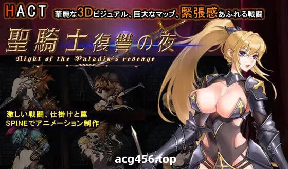 t6003 圣骑士复仇之夜 官方中文版 [新作/1.3G]-乐游二次元