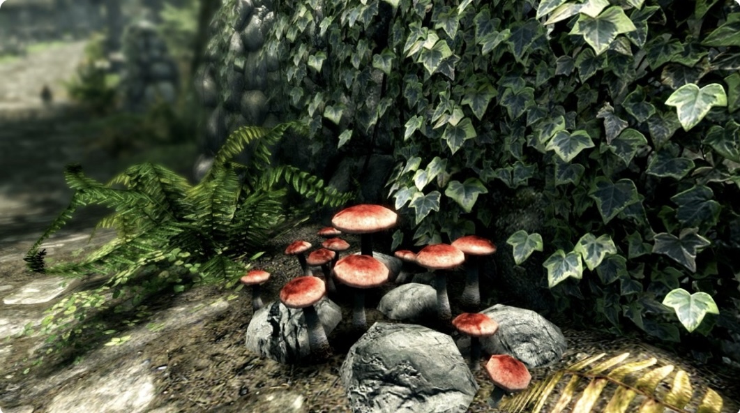 图片[7]-上古卷轴5 天际 豪华年度传奇 重制版|V2.0.5-整合MOD威猛版+全 DLC|解压即撸-乐游二次元