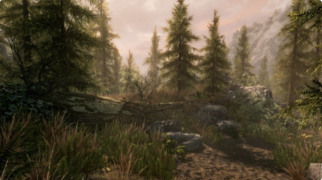 图片[8]-上古卷轴5 天际 豪华年度传奇 重制版|V2.0.5-整合MOD威猛版+全 DLC|解压即撸-乐游二次元
